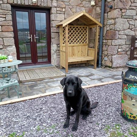 Conwy Pen Cefn Farm Holiday Abergele Dış mekan fotoğraf